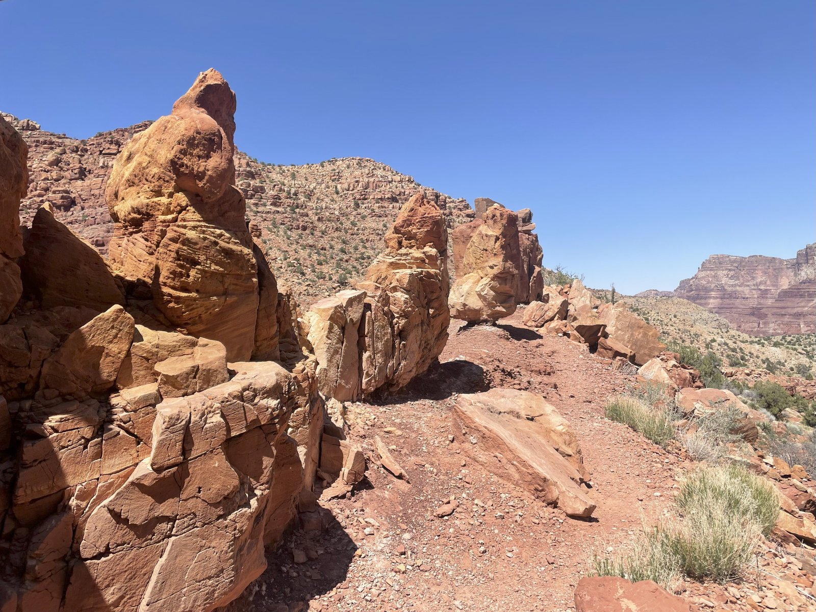 tanner trail thumbnail